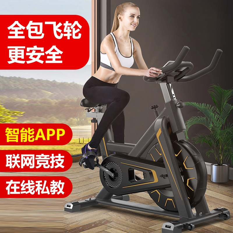 动感单车女家用闪电客小型健身车脚踏...